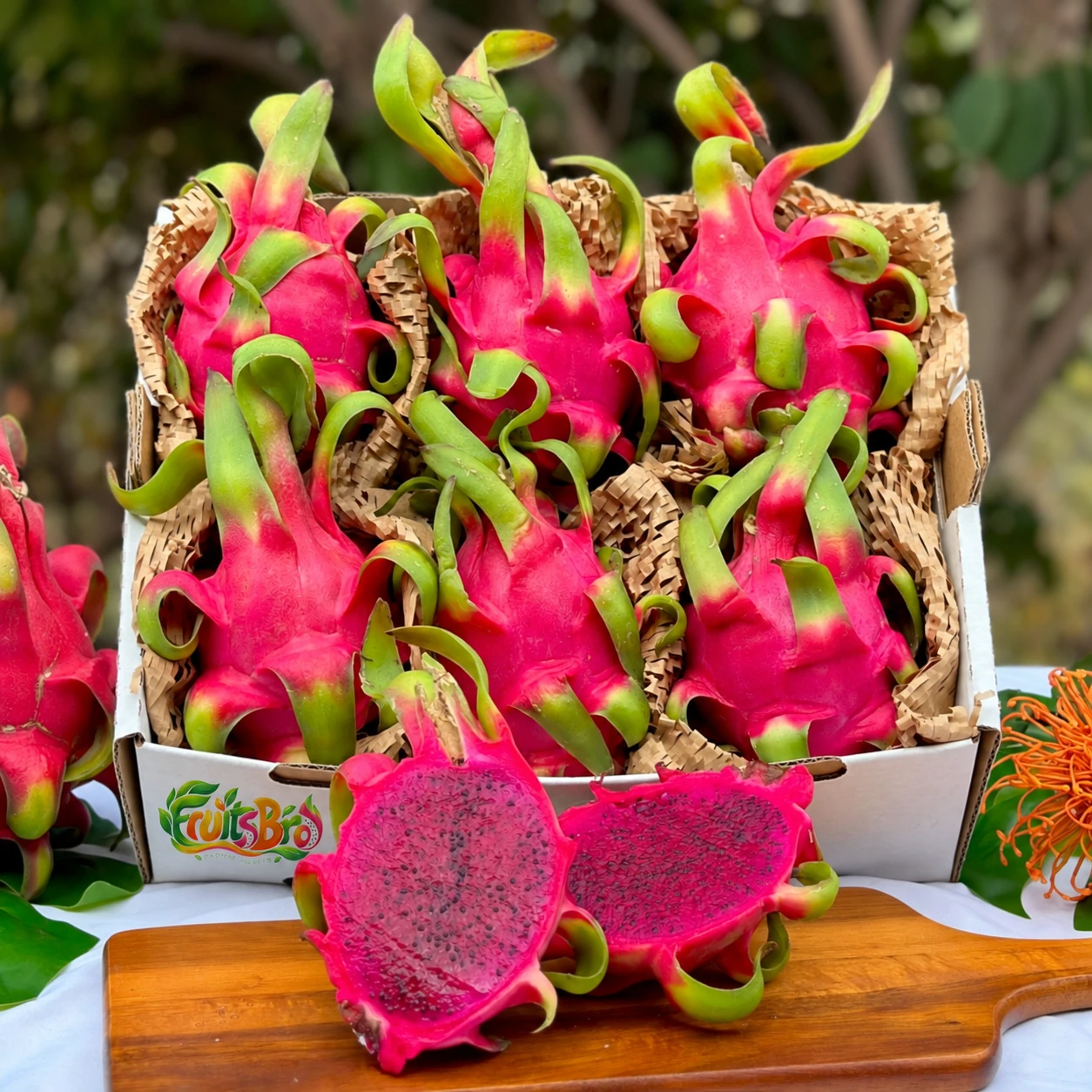 Red Dragon Fruit