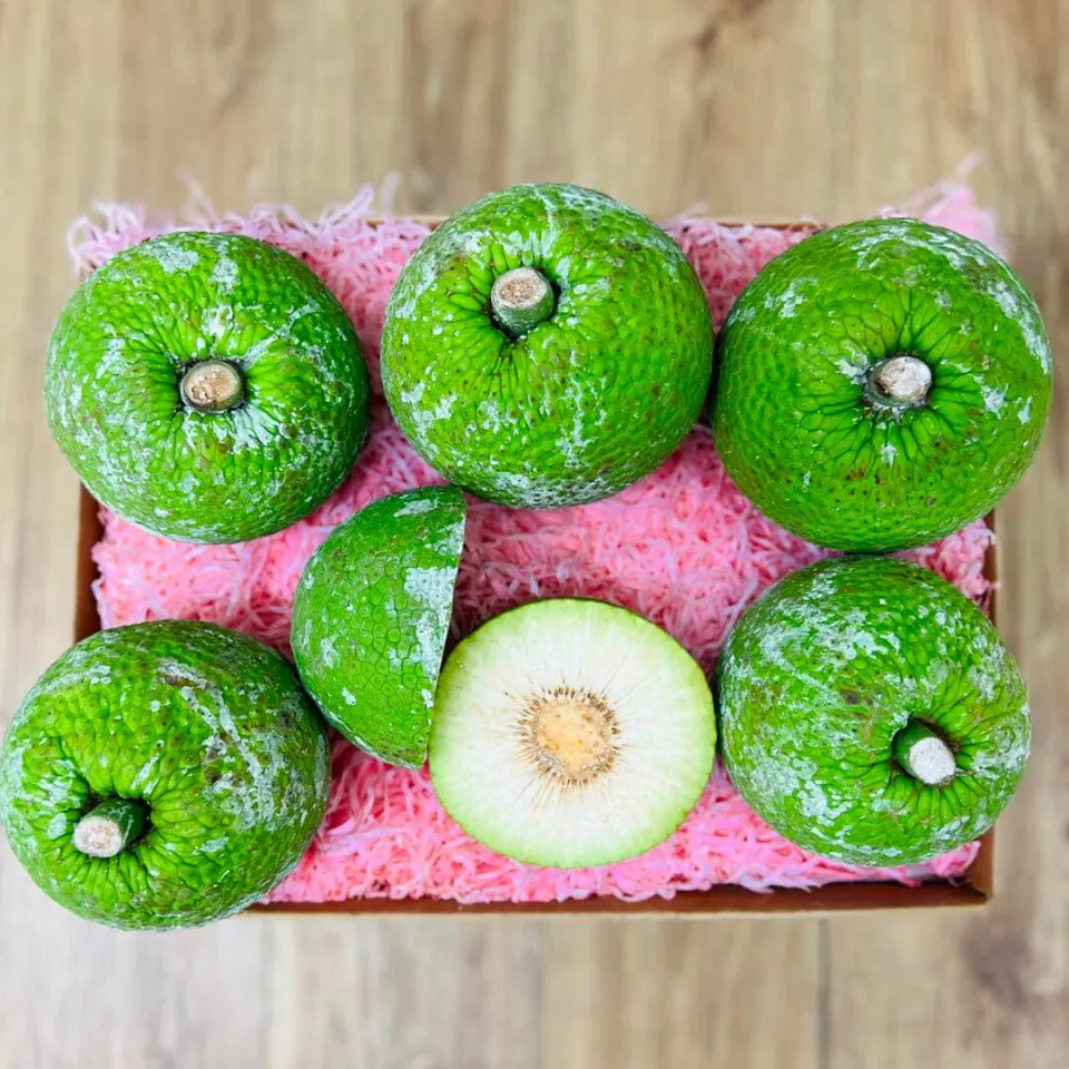 Breadfruit · Panapen · Ulu