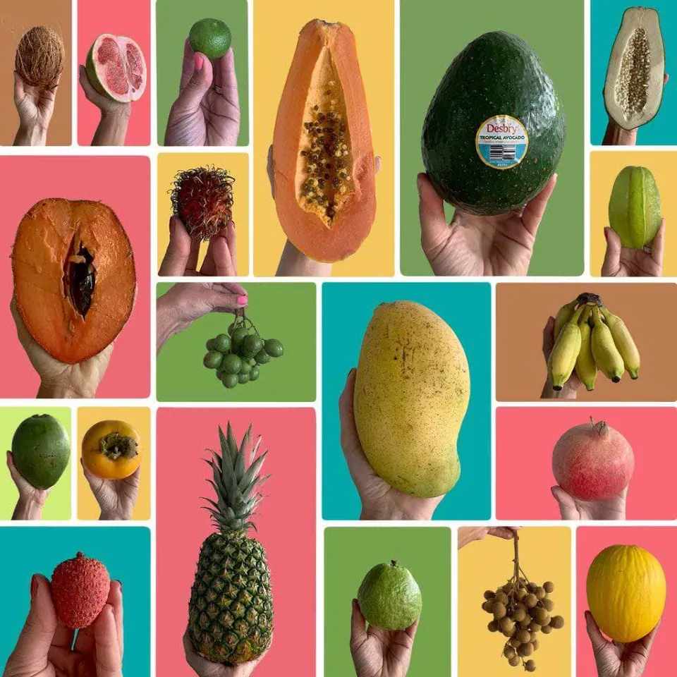 Create Your Own Tropical Fruit Box, photo 1 of 3