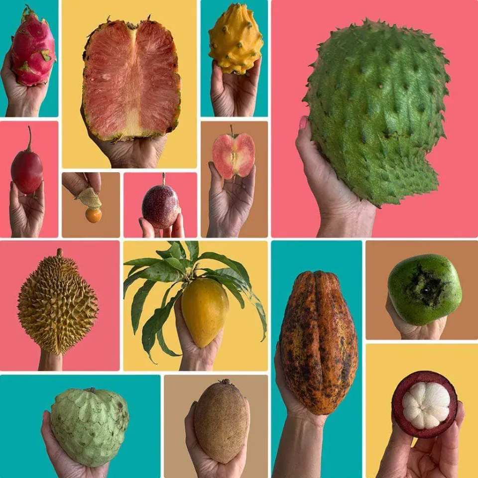 Create Your Own Tropical Fruit Box, photo 2 of 3