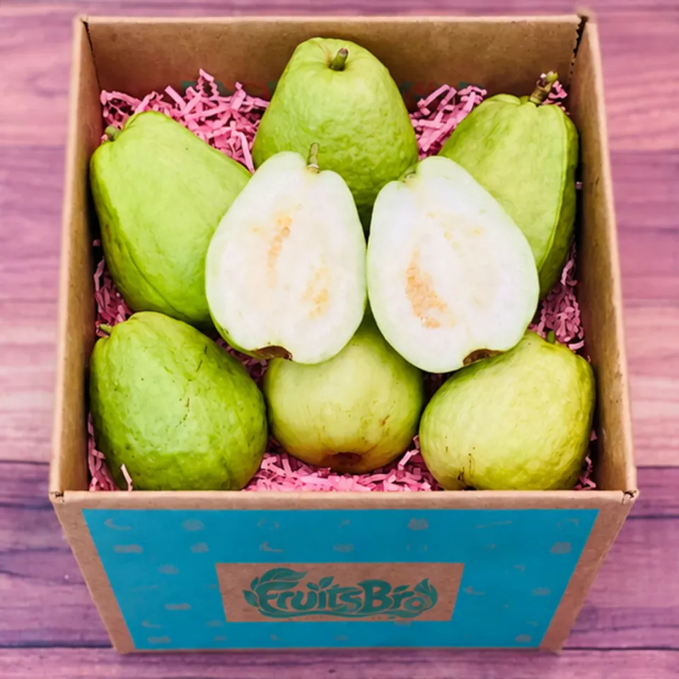China White Guava Fruit Box, photo 2 of 3