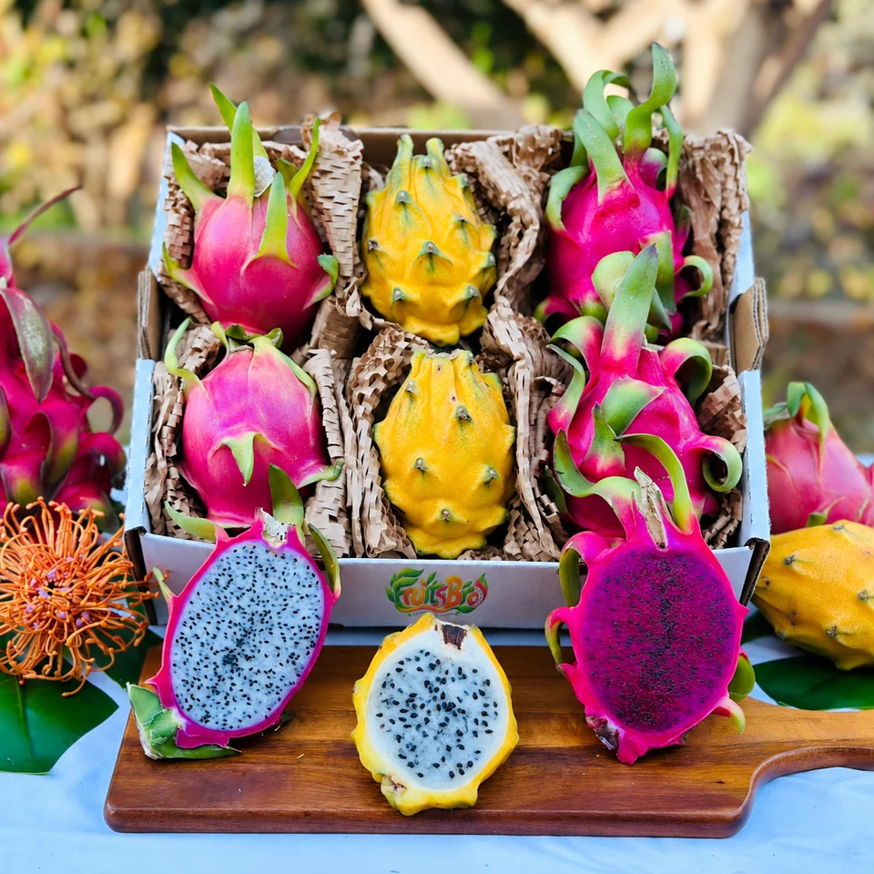 Three varieties of dragon fruit packed in a FruitsBro fruit box