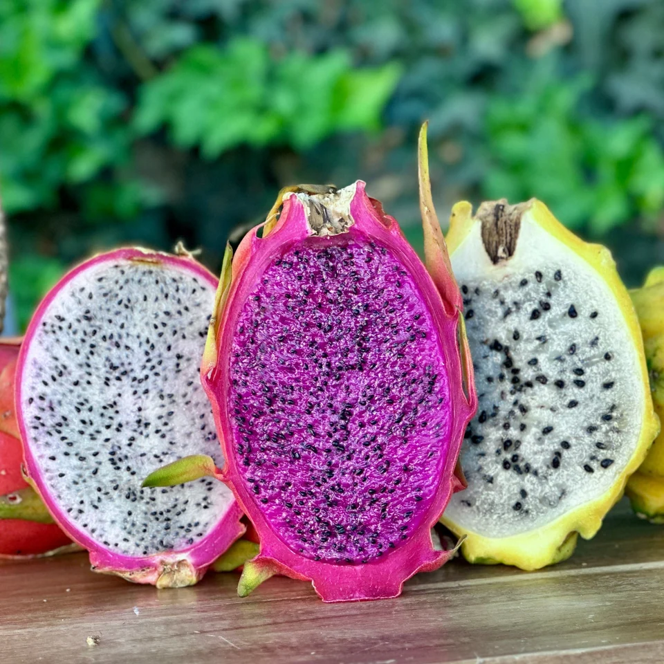 Dragon Fruit · Pitahaya Mix, photo 2 of 5