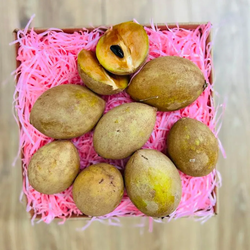 Fresh Sapodilla · Zapote Box, photo 3 of 3