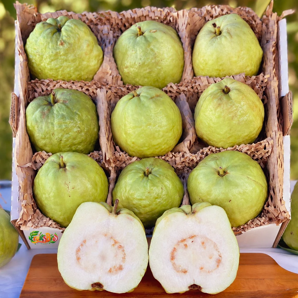 Tropical White Guava · Thai Guava Box, photo 1 of 5
