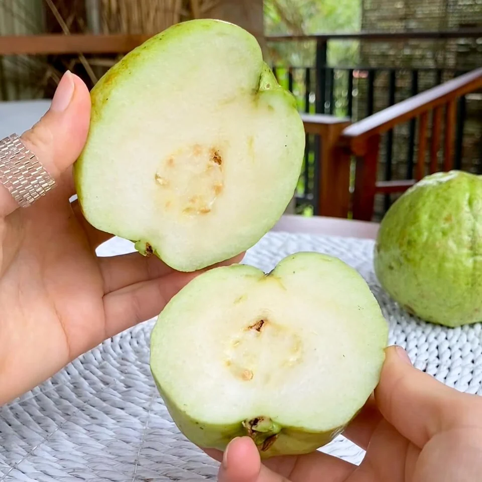Tropical White Guava · Thai Guava Box, photo 2 of 5