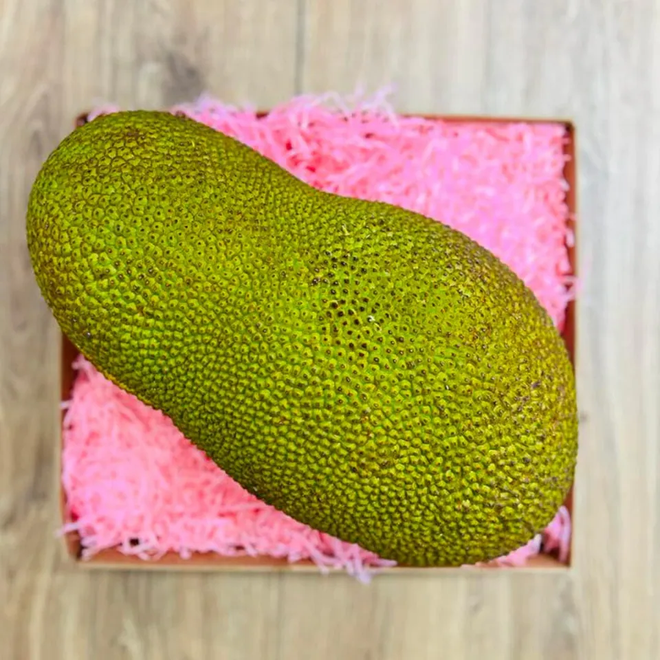 Fresh Whole Jackfruit Box, photo 1 of 3