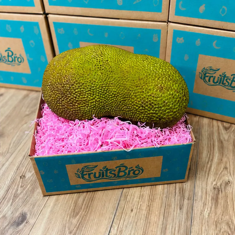 Fresh Whole Jackfruit Box, photo 2 of 3