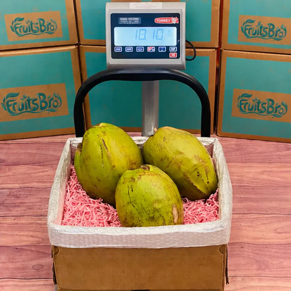 Green Coconut Box, photo 2 of 3