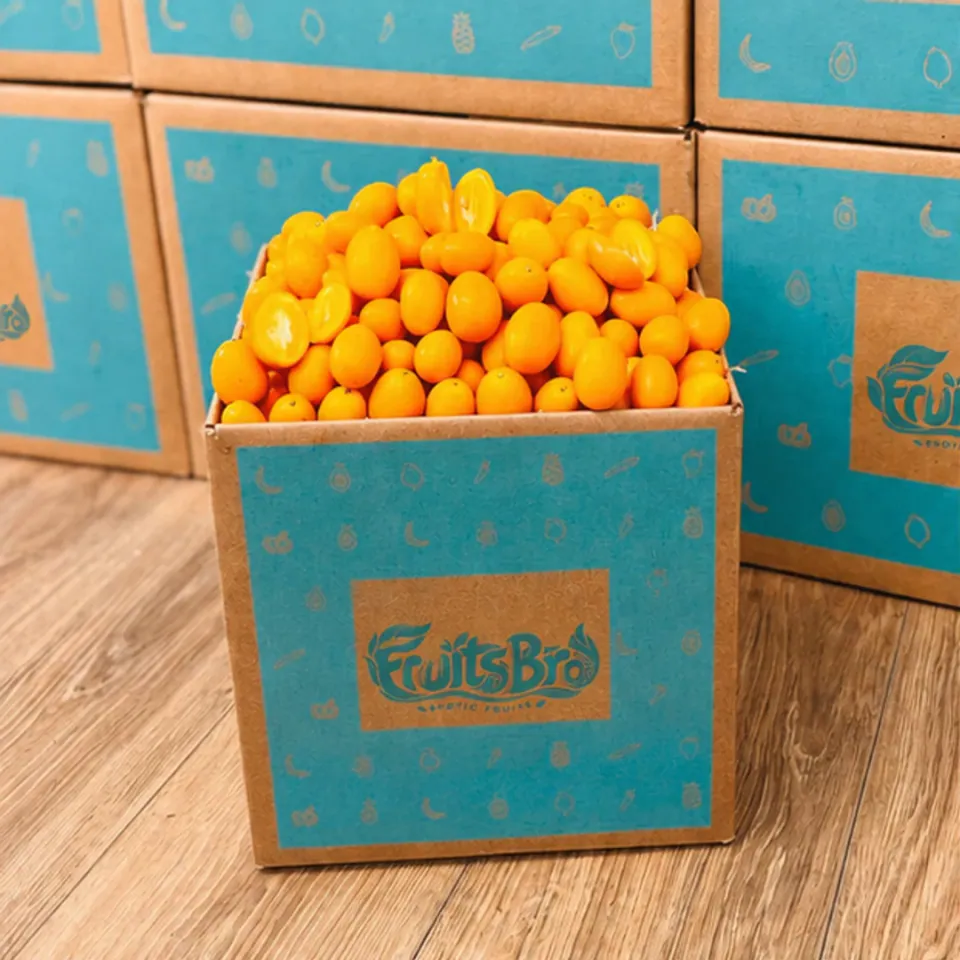 Kumquat