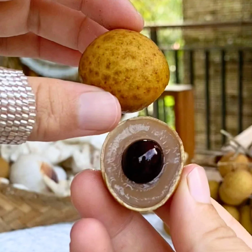 Longan · Dragon Eye Fruit Box, photo 2 of 5