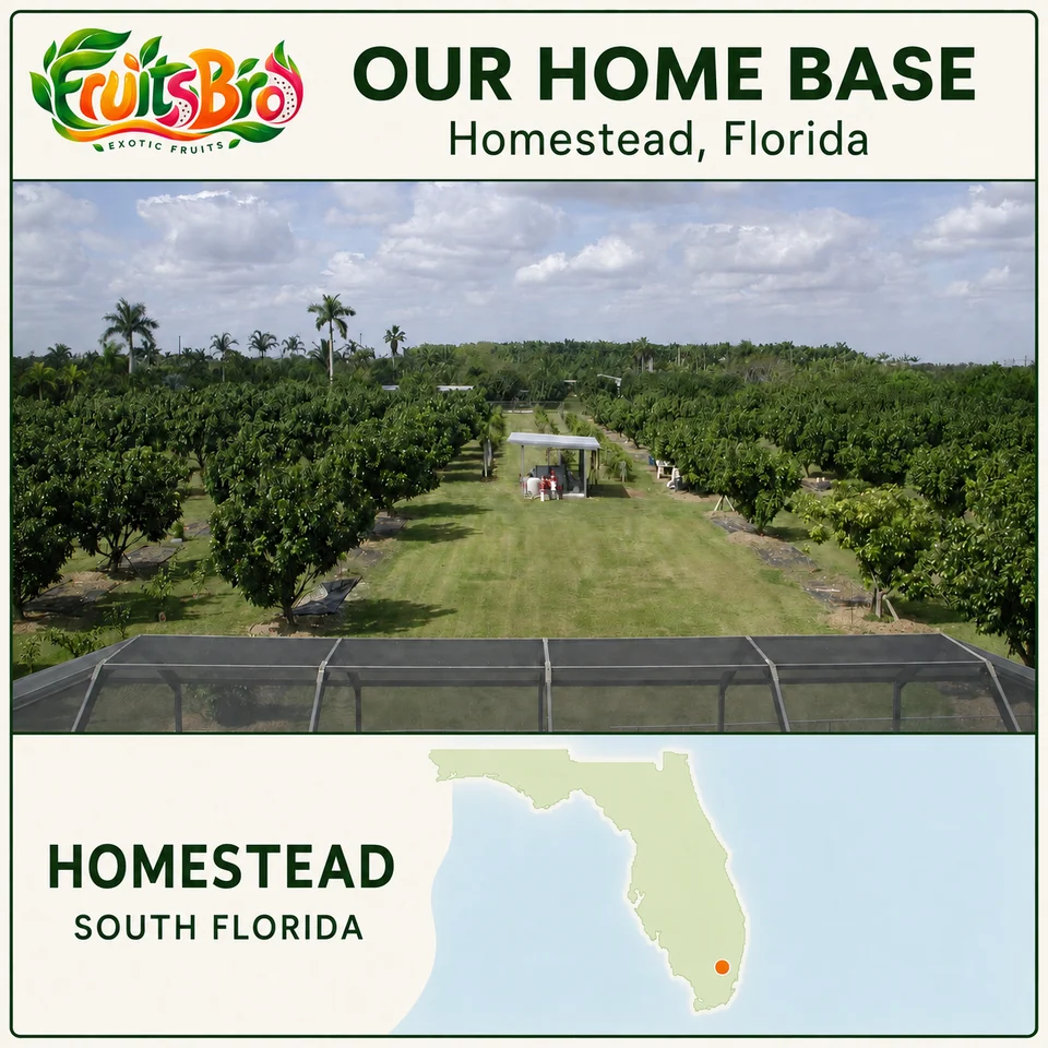Our home base in Homestead, Florida