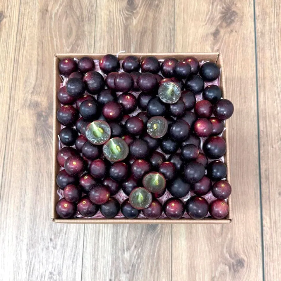 Red Muscadine Grape Box, photo 1 of 3