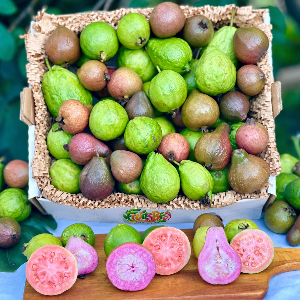 Pink Guava Box, photo 1 of 5
