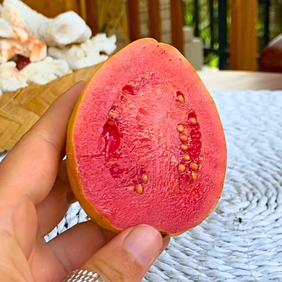 Pink Guava Box, photo 2 of 5