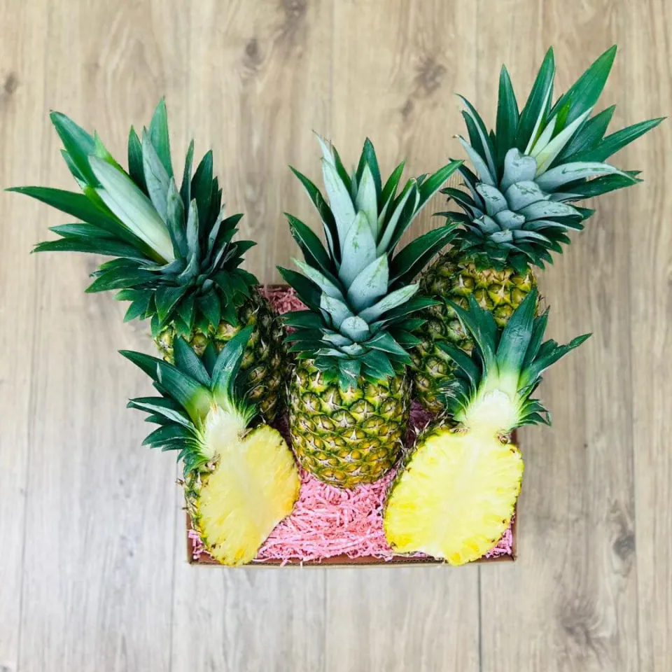 Premium Tropical Golden Pineapple Box, photo 3 of 3