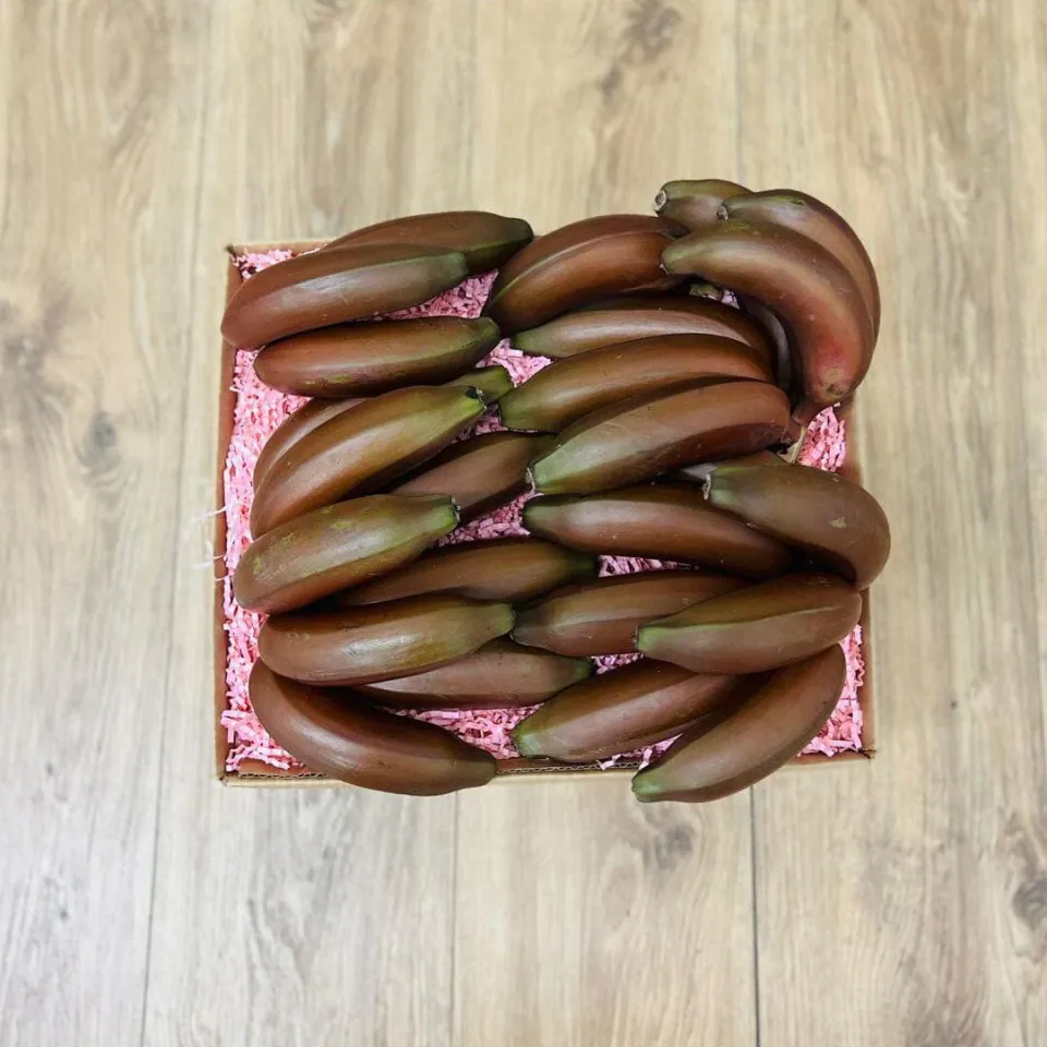 Red Banana Box, photo 3 of 3