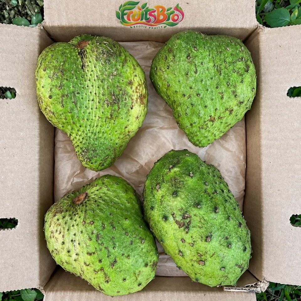 Soursop · Guanabana Fruit Box, photo 1 of 5