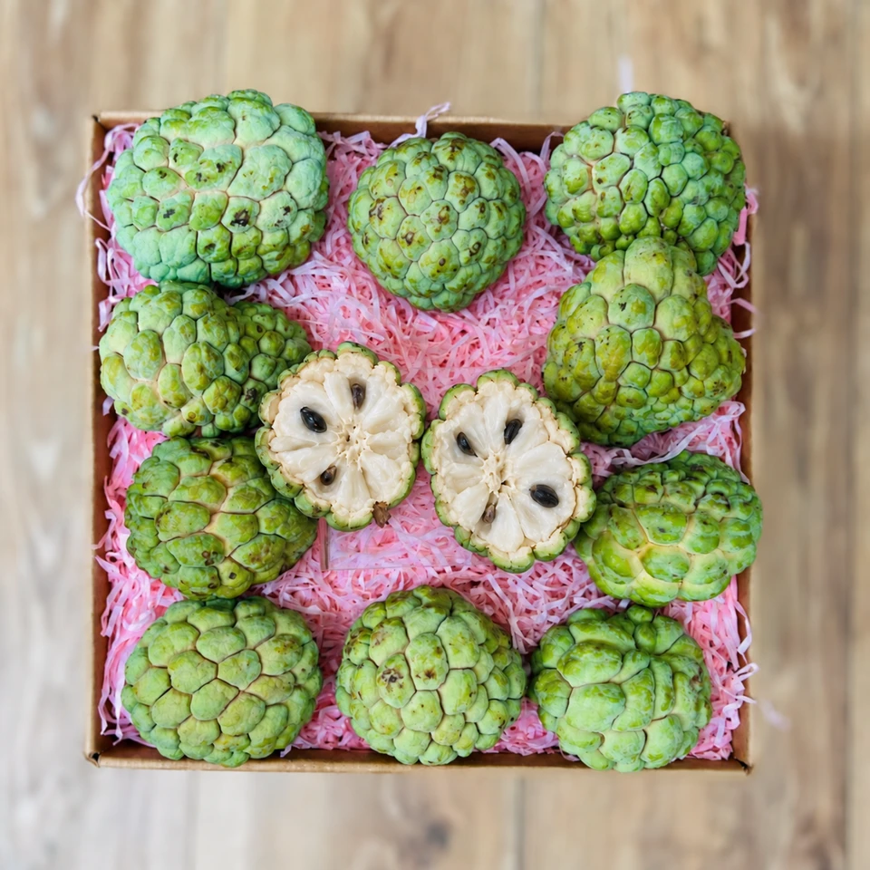 Sugar Apple · Sweetsop · Anon Box