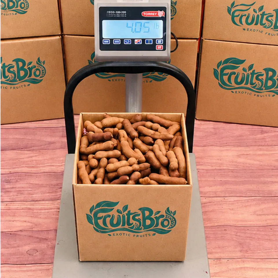 Sweet Tamarind Fruit Box, photo 2 of 3