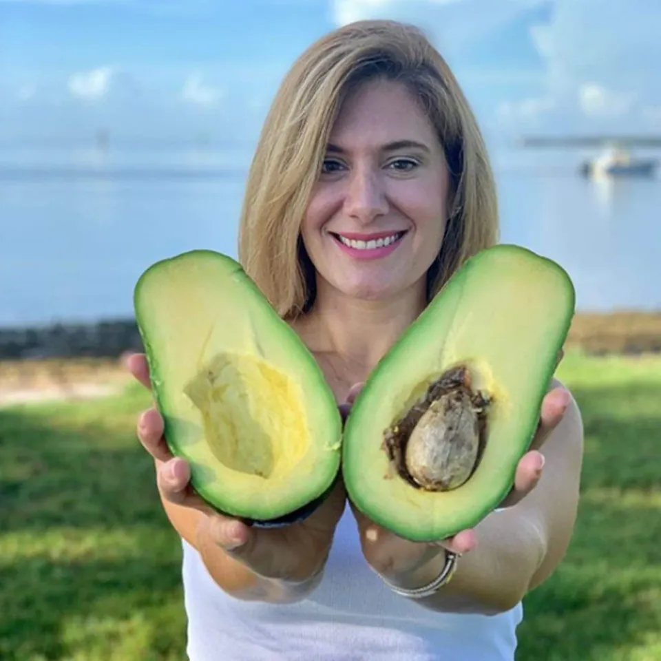 Tropical Avocado Box, photo 2 of 3