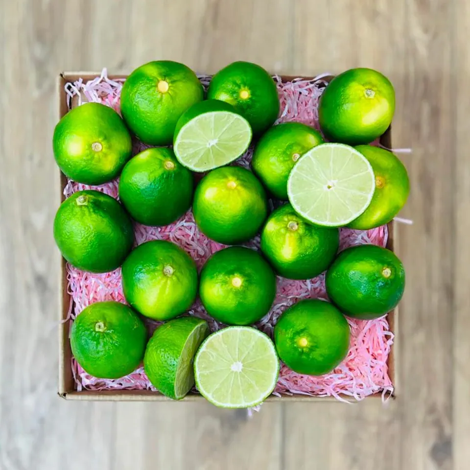Tropical Lime Box, photo 1 of 3