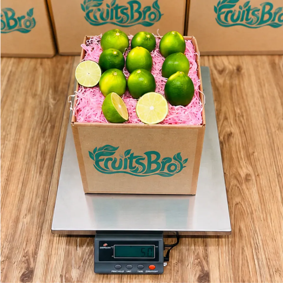 Tropical Lime Box, photo 2 of 3