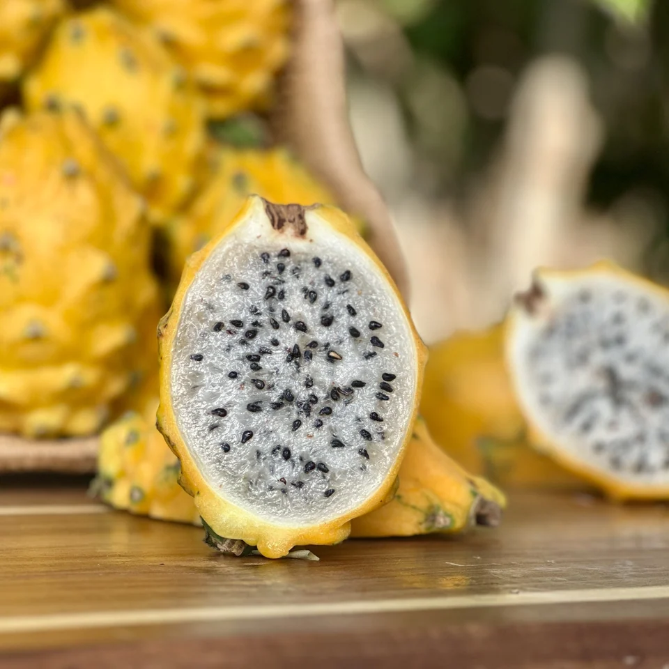 Yellow Dragon Fruit Box, photo 2 of 5