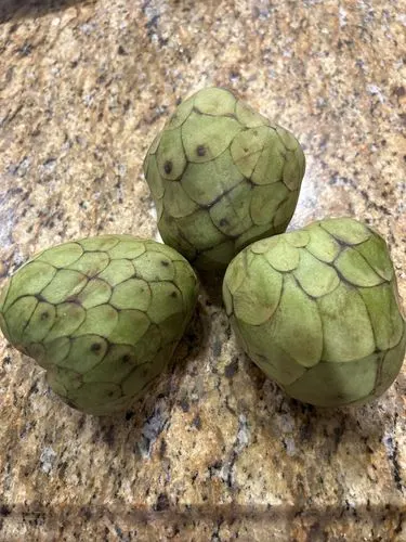 Customer photo of Cherimoya