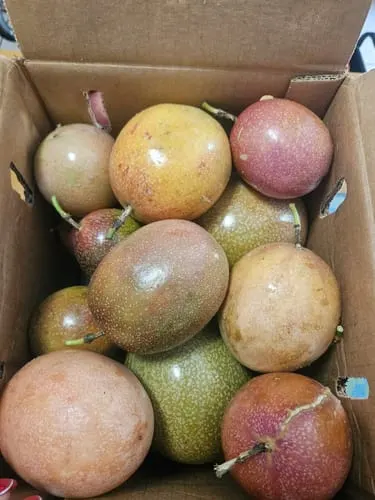 Customer photo of Purple/Pink Passionfruit (Lilikoi)