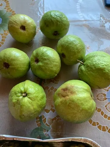 Customer photo of White Guava