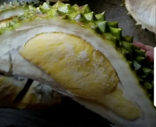 Customer photo of Musang King Durian (Whole Frozen)