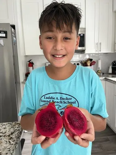 Customer photo of Dragonfruit Mix Box