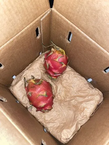 Customer photo of White Dragonfruit (Pitaya)
