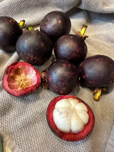 Customer photo of Mangosteen (Purple)