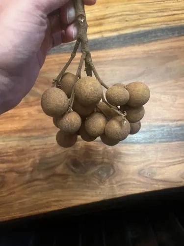 Customer photo of Biew Kiew (BQ) Longan
