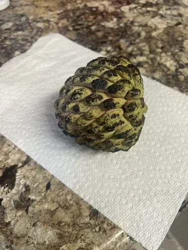 Customer photo of Sugar Apple (Sweetsop)