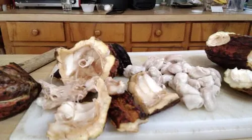 Customer photo of Cacao (Chocolate)