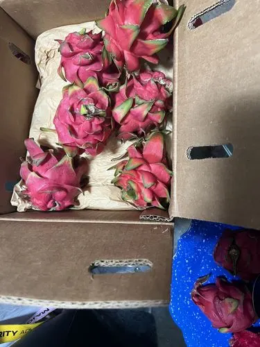 Customer photo of Red Dragonfruit (Pitaya)