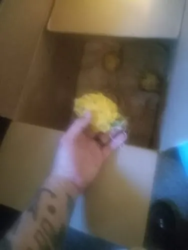 Customer photo of Yellow Dragonfruit (Pitaya)
