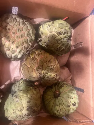 Customer photo of Sugar Apple (Sweetsop)