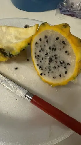 Customer photo of Yellow Dragonfruit (Pitaya)